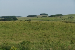 Countryside view near Hartington